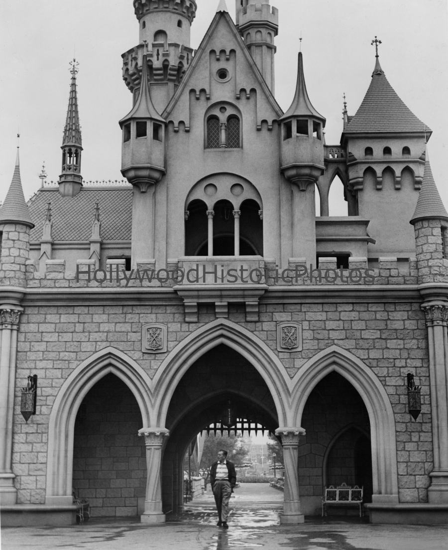 Walts Castle WM.jpg